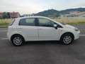 Fiat Punto Punto III 2012 5p 1.4 natural power Lounge 70cv E6 Bianco - thumbnail 4