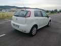 Fiat Punto Punto III 2012 5p 1.4 natural power Lounge 70cv E6 Bianco - thumbnail 8