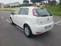 Fiat Punto Punto III 2012 5p 1.4 natural power Lounge 70cv E6 Bianco - thumbnail 6