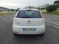 Fiat Punto Punto III 2012 5p 1.4 natural power Lounge 70cv E6 Bianco - thumbnail 7