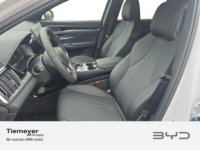 Byd Unknown Model view 10
