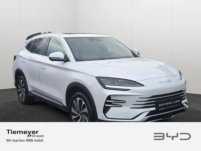 Byd Unknown Model view 3