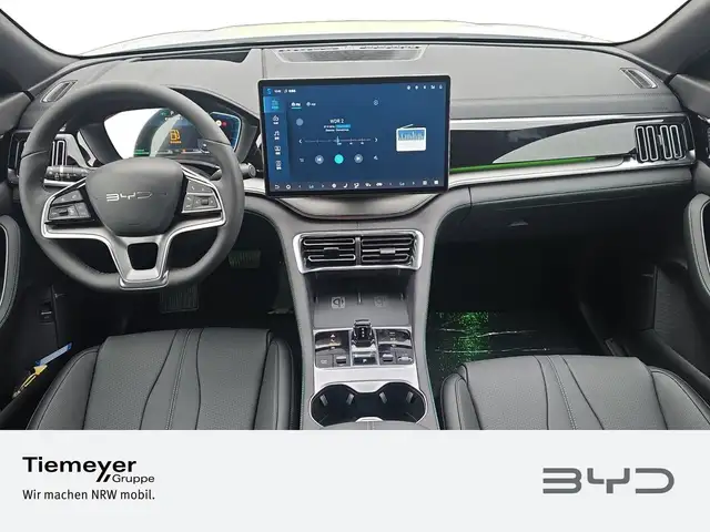 Byd Unknown Model view 12