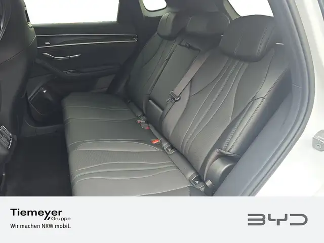Byd Unknown Model view 11