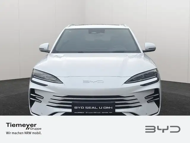 Byd Unknown Model view 2
