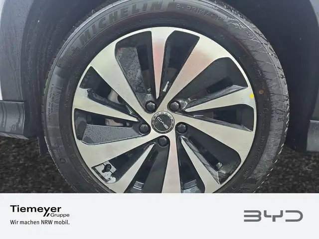 Byd Unknown Model view 9