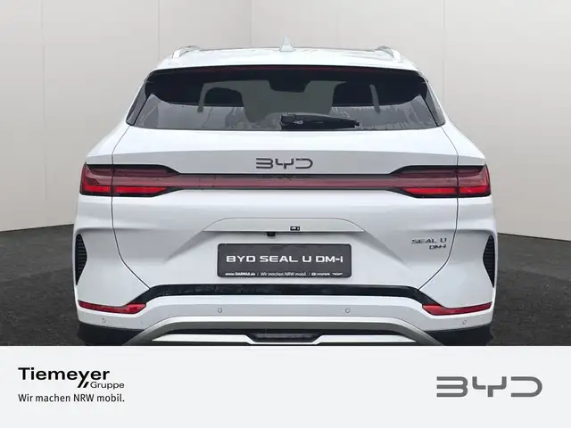 Byd Unknown Model view 6