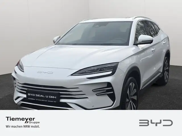 Byd Unknown Model main image