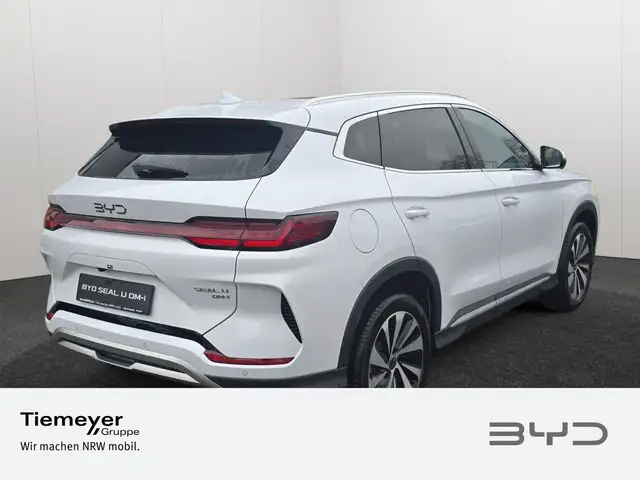 Byd Unknown Model view 5