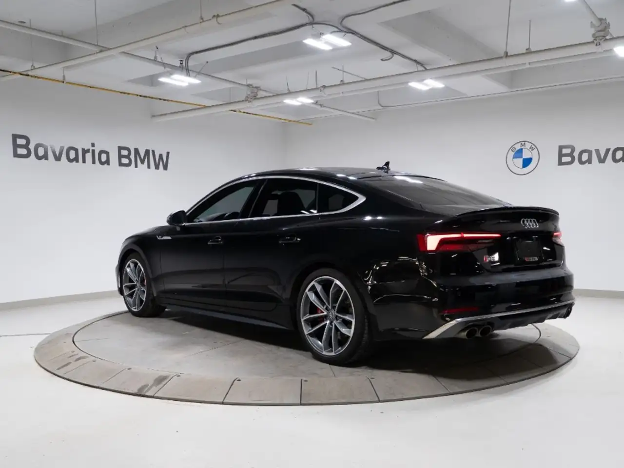 Audi S5 fotografie Audi S5