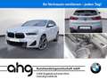BMW X2 sDrive20i M Sport Aut. Navi Panorama RFK HiFi Grau - thumbnail 1