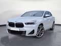 BMW X2 sDrive20i M Sport Aut. Navi Panorama RFK HiFi Grijs - thumbnail 2