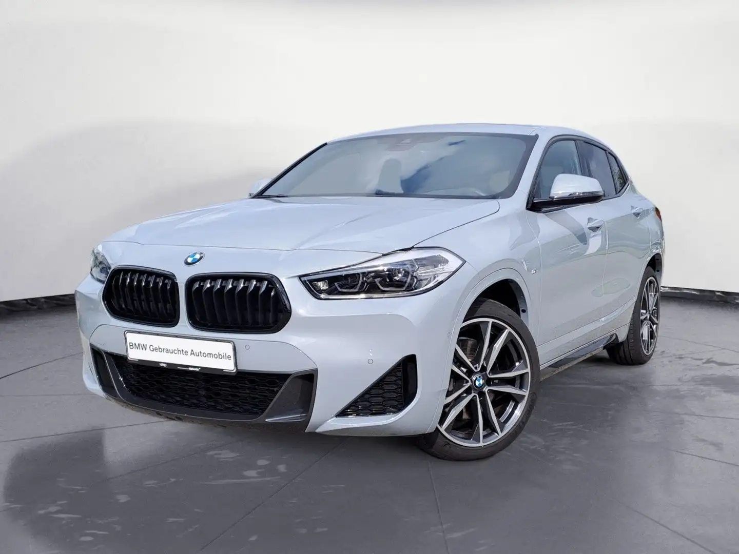 BMW X2 sDrive20i M Sport Aut. Navi Panorama RFK HiFi Grijs - 2