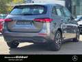 Mercedes-Benz B 250 4M PROGRESSIVE*WINTER-PAKET*APPLECAR*KAM* Grau - thumbnail 4