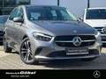 Mercedes-Benz B 250 4M PROGRESSIVE*WINTER-PAKET*APPLECAR*KAM* Grau - thumbnail 2