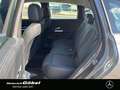 Mercedes-Benz B 250 4M PROGRESSIVE*WINTER-PAKET*APPLECAR*KAM* Grau - thumbnail 8