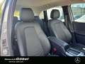 Mercedes-Benz B 250 4M PROGRESSIVE*WINTER-PAKET*APPLECAR*KAM* Grau - thumbnail 10
