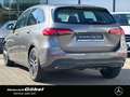 Mercedes-Benz B 250 4M PROGRESSIVE*WINTER-PAKET*APPLECAR*KAM* Grau - thumbnail 3