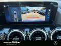 Mercedes-Benz B 250 4M PROGRESSIVE*WINTER-PAKET*APPLECAR*KAM* Grau - thumbnail 7