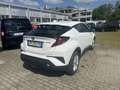 Toyota C-HR 1.8 Hybrid E-CVT Active Bianco - thumbnail 5