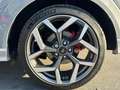 Ford Puma 1.5 EcoBoost 200 CV S&S ST Gris - thumbnail 15