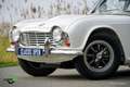Triumph TR4 Overdrive Weiß - thumbnail 26