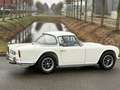Triumph TR4 Overdrive Weiß - thumbnail 22