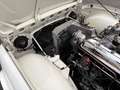 Triumph TR4 Overdrive Weiß - thumbnail 14