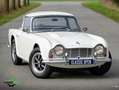 Triumph TR4 Overdrive Weiß - thumbnail 15