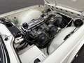 Triumph TR4 Overdrive Weiß - thumbnail 12