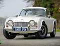 Triumph TR4 Overdrive Weiß - thumbnail 22