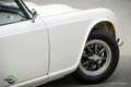 Triumph TR4 Overdrive Weiß - thumbnail 37
