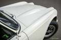 Triumph TR4 Overdrive Weiß - thumbnail 28