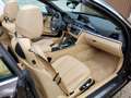 BMW 440 440i Cabrio xDrive Aut. Luxury Line Brązowy - thumbnail 4