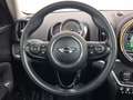 MINI Cooper SE Countryman Cooper SE PHEV Countryman LED Navi DrivAs ParkA Blau - thumbnail 10