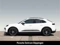 Porsche Macan BOSE InnoDrive LED-Matrix Panoramadach Weiß - thumbnail 2