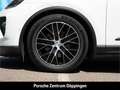 Porsche Macan BOSE InnoDrive LED-Matrix Panoramadach Weiß - thumbnail 10
