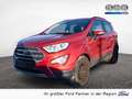 Ford EcoSport 1,0 l EcoBoost Titanium PDC SHZ LED Rouge - thumbnail 1