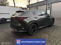 Lexus Sonstige NX F Sport | 2023 | Route 66 Auctions Schwarz - thumbnail 7