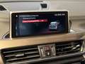 BMW X1 X1 Aut. xLine Led Sportinterieur sfeerverlichting Bronce - thumbnail 15