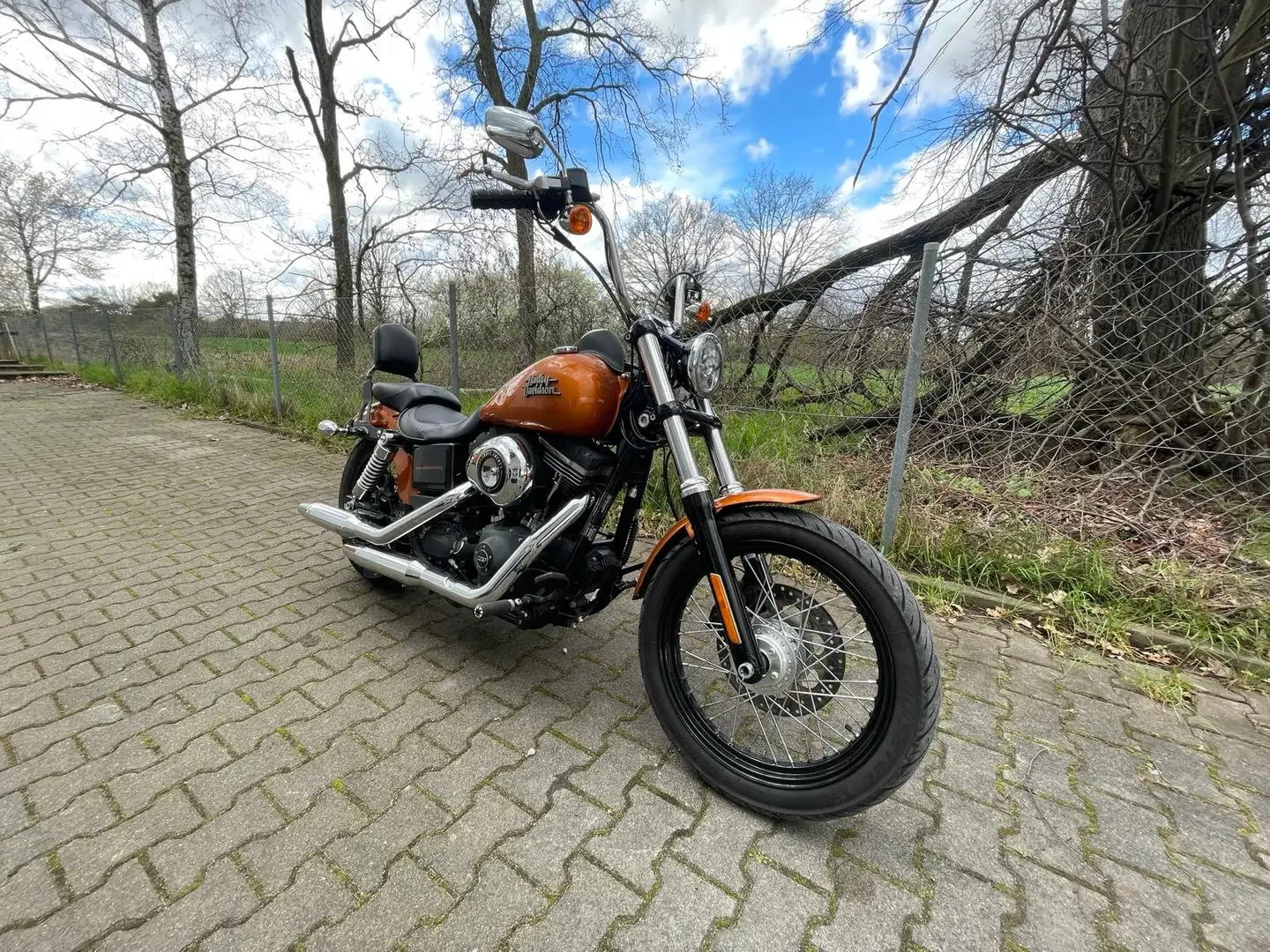 Harley-Davidson Street Bob Dyna Narancs - 1