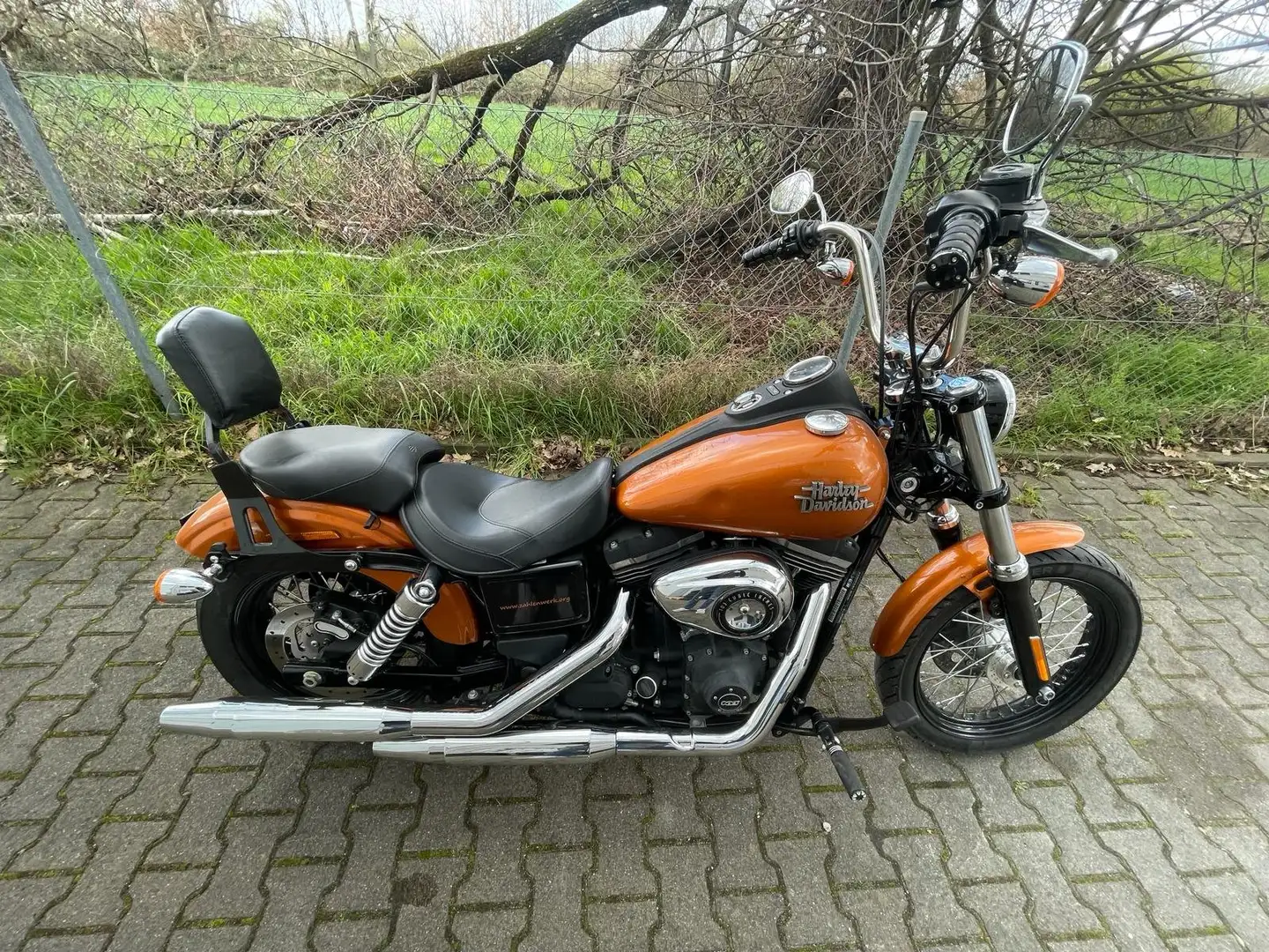 Harley-Davidson Street Bob Dyna Pomarańczowy - 2