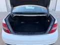 Mercedes-Benz C 220 CDI Blue Efficiency Elegance Blanco - thumbnail 11