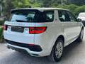 Land Rover Discovery Sport P300e R-Dynamic S PHEV Wit - thumbnail 26