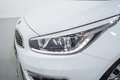 Kia Ceed / cee'd 1.6CRDI VGT Drive 136 Blanco - thumbnail 10