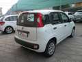 Fiat Panda PREZZOVERO1.2FIRE Bianco - thumbnail 4
