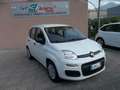 Fiat Panda PREZZOVERO1.2FIRE Bianco - thumbnail 1