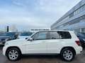 Mercedes-Benz GLK 220 BlueEfficiency 4Matic*AUTOMATIK*AHK* Weiß - thumbnail 5