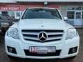 Mercedes-Benz GLK 220 BlueEfficiency 4Matic*AUTOMATIK*AHK* Weiß - thumbnail 3