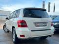 Mercedes-Benz GLK 220 BlueEfficiency 4Matic*AUTOMATIK*AHK* Weiß - thumbnail 6
